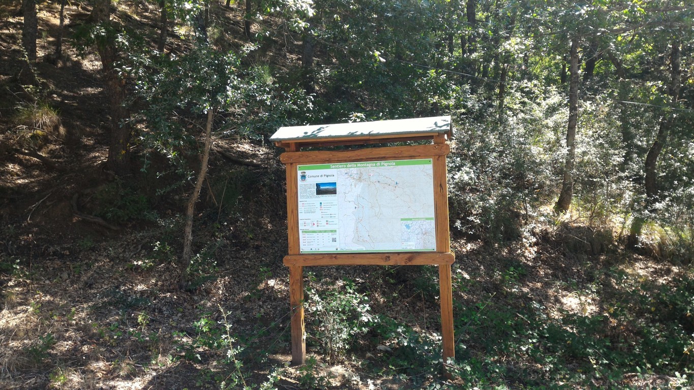 P_20160809_114403 .jpg